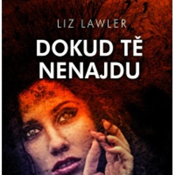 Dokud tě nenajdu Emily je zdravotní sestra