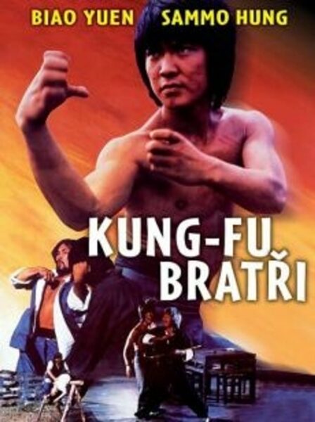 DVD Kung-fu bratři DVD Kung-fu bratři Příběh vypráví o dvou bratrech