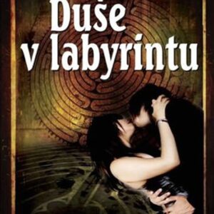 Duše v labyrintu <p>Příběh vypráví o socioložce Lídě