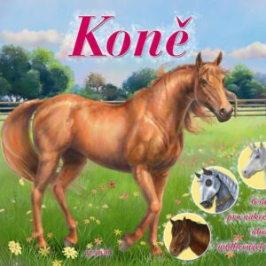 Koně <p>Chceš se stát odborníkem na koně? Expertem na různá plemena koní